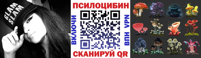 Псилоцибиновые грибы MAGIC MUSHROOMS  Холм 